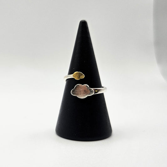 Clouds Ring